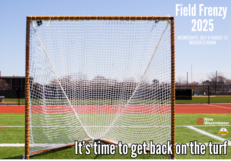 Field Frenzy (800 x 560 px)